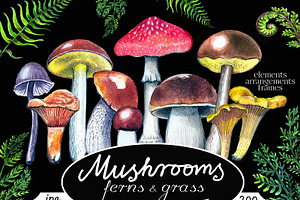 Mushrooms