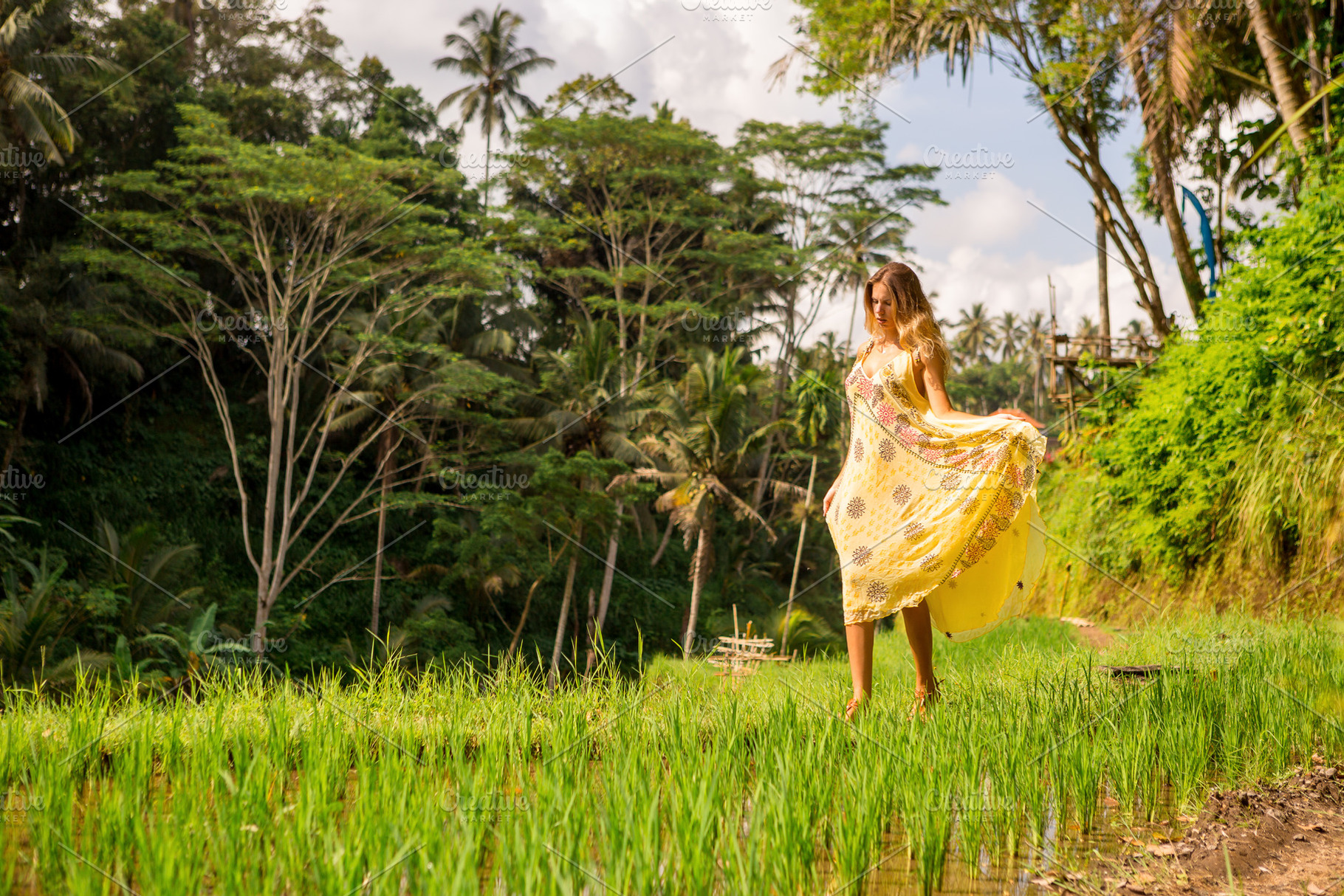 Never stop exploring our planet featuring field, rice, and beautiful, a Food & Drink Photo by Mikalai