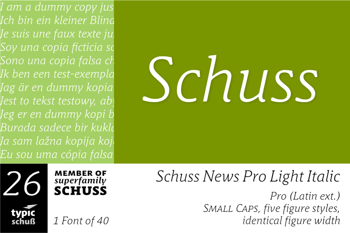 SchussNewsProLightIta No.26 (1 Font), a Serif Font by typic schuss (Photo 1 of 6)