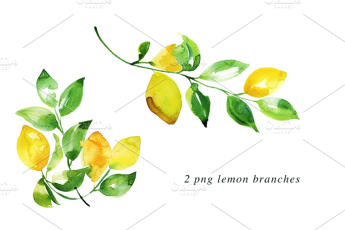 Watercolor Lemon Painting Bundle, an Illustration by Heartmade by Claudia (Photo 4 of 4)