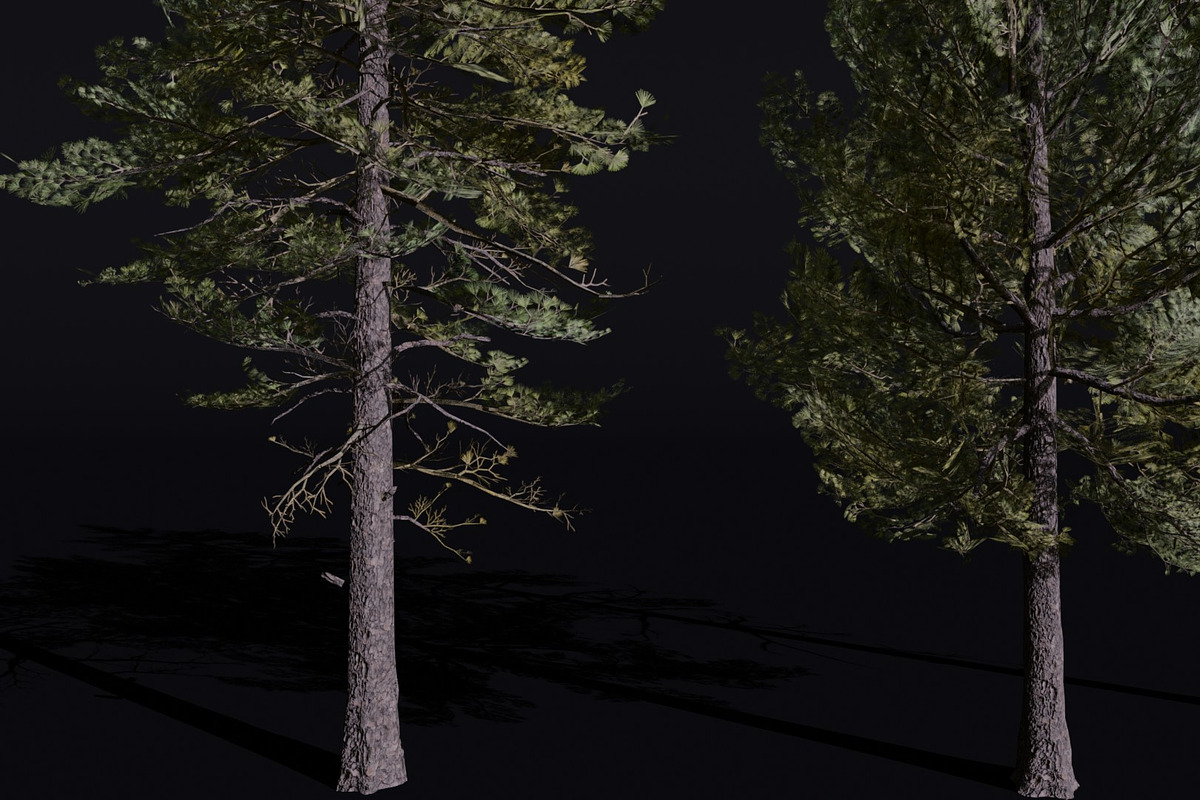 The European Pine Tree, a Plants & Tree 3D Model by FuturePastCreatives (Photo 1 of 6)