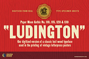 Ludington Vintage Letterpress Font, a Sans Serif Font by Paper Moon Graphic Supply (Thumbnail 1 of 9)