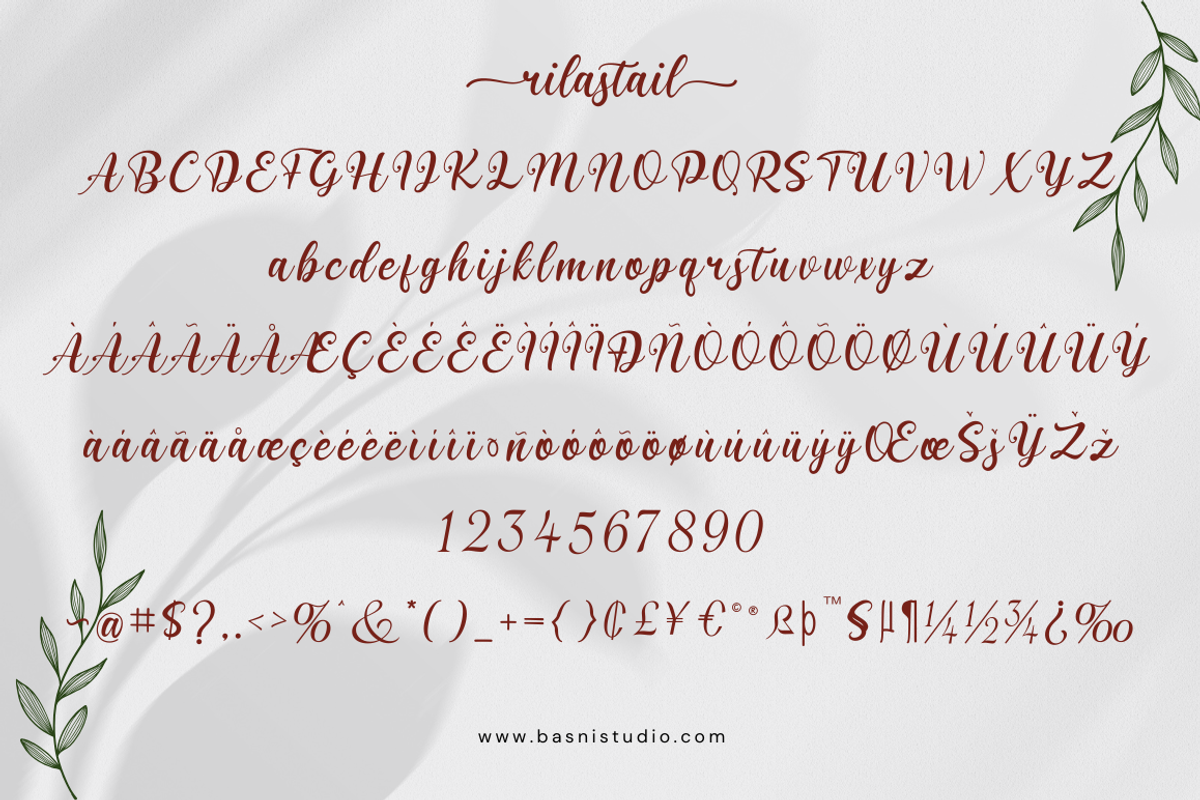 Rilastail Modern Calligraphy Font, a Script Font by Basnistudio (Photo 7 of 8)
