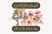 Selukar - Vintage Display Serif Font, a Serif Font by Artflorara (Thumbnail 12 of 15)