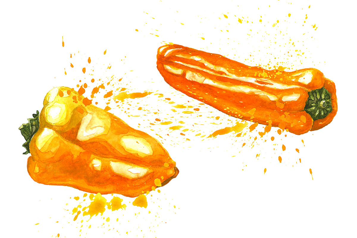 Hand-drawn Watercolor Mini Peppers, a Decorative Illustration by Margo Miller (Photo 5 of 17)