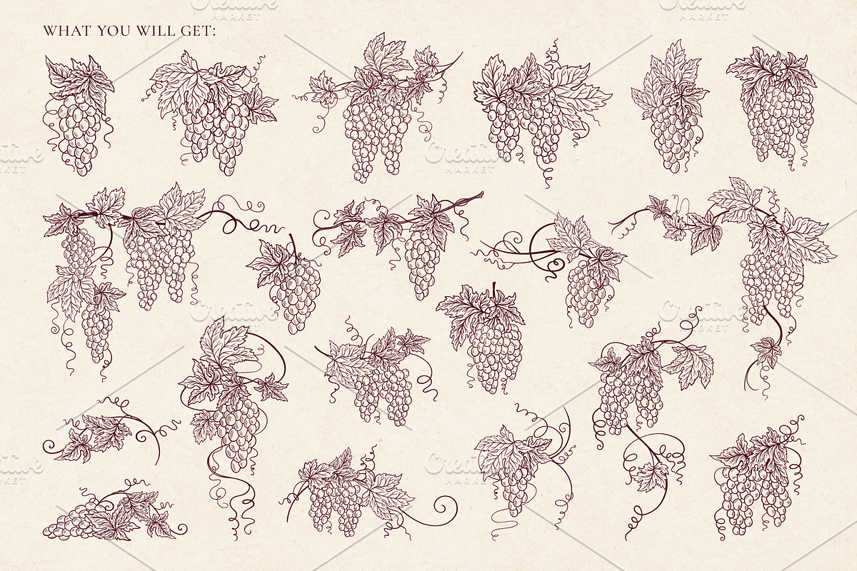 Vintage Grape Vector set Wine Labels, a Food Illustration by Neliakott ♥ (Photo 2 of 10)