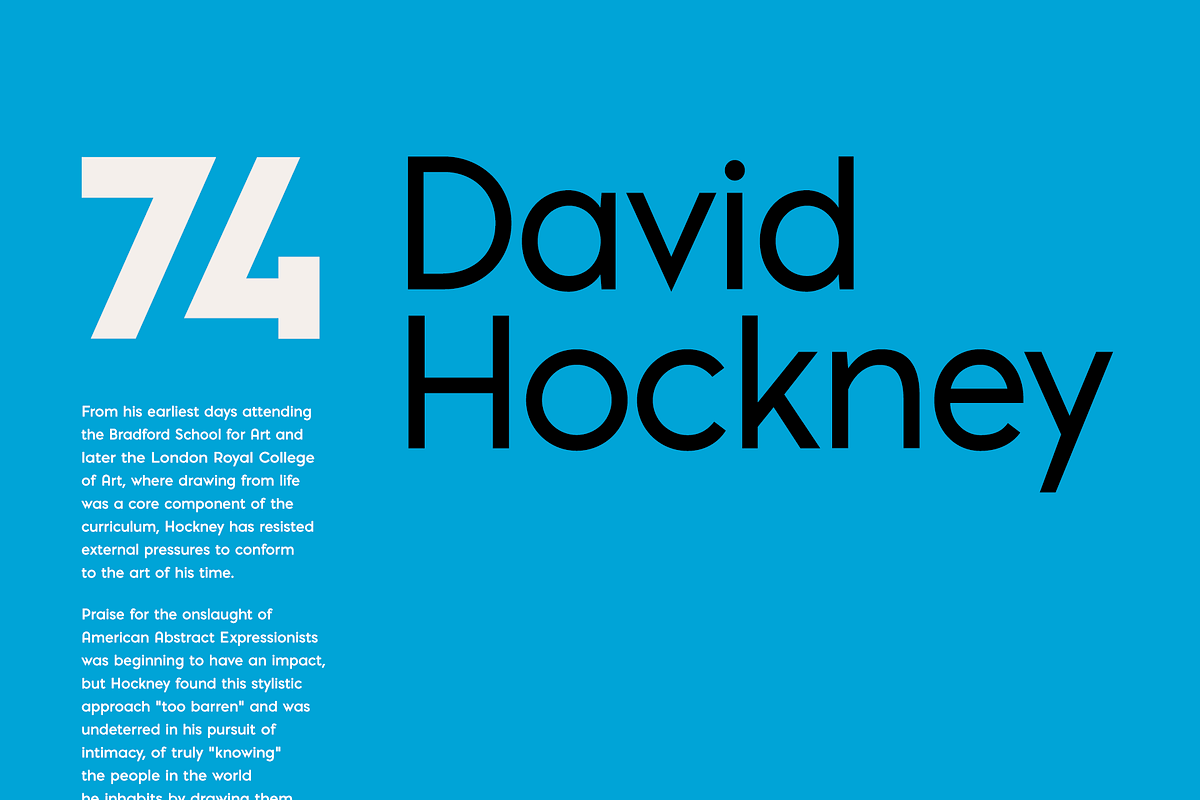 Pontiac Font Collection (Simple set), a Sans Serif Font by S&C Type (Photo 7 of 10)