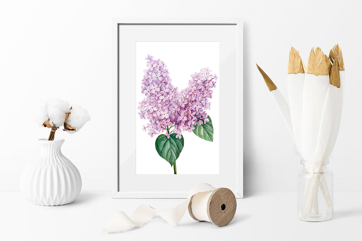 Garden Flowers hand drawn watercolor, a Decorative Illustration by Hanna Hryharenka (Photo 2 of 16)