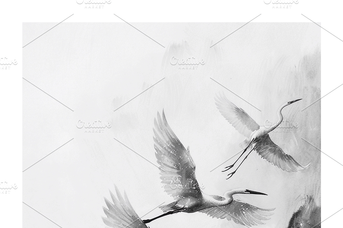 Gret Collection · Egrets in Flight, an Animal Illustration by milatovar (Photo 14 of 17)