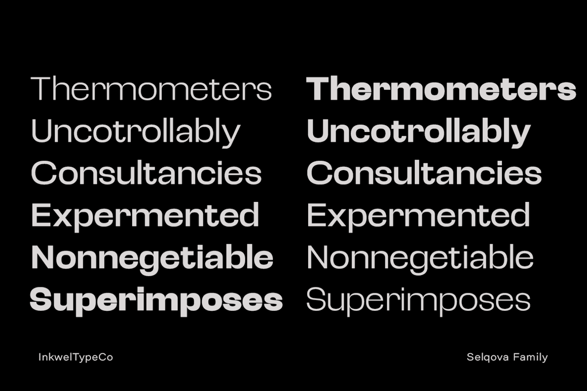 Selqova | Sans serif family, a Sans Serif Font by InkwellTypeCo (Photo 10 of 18)