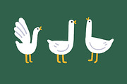 Cute goose. Funny birds, kids set, an Animal Illustration by Good Studio (Thumbnail 2 of 7)