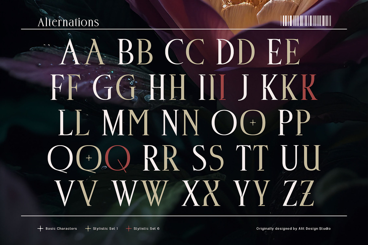 Deloca Moreys Typeface, a Serif Font by alit design (Photo 6 of 20)
