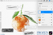 Frozen Procreate Brushes Collection, a Brush Add-On by owlasya (Thumbnail 5 of 5)
