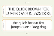 CARNELIAN - Display Variable Type, a Sans Serif Font by Artflorara (Thumbnail 11 of 16)