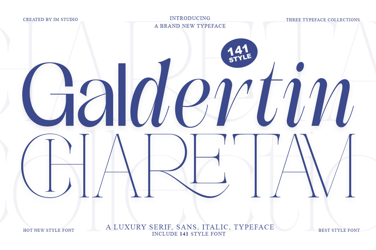 Galdertin Charetam | 141 Font Style, a Serif Font by IM Studio (Photo 1 of 12)