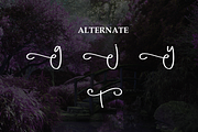 Fantasy | Script Font, a Handwritten Font by Scratchones (Thumbnail 8 of 9)