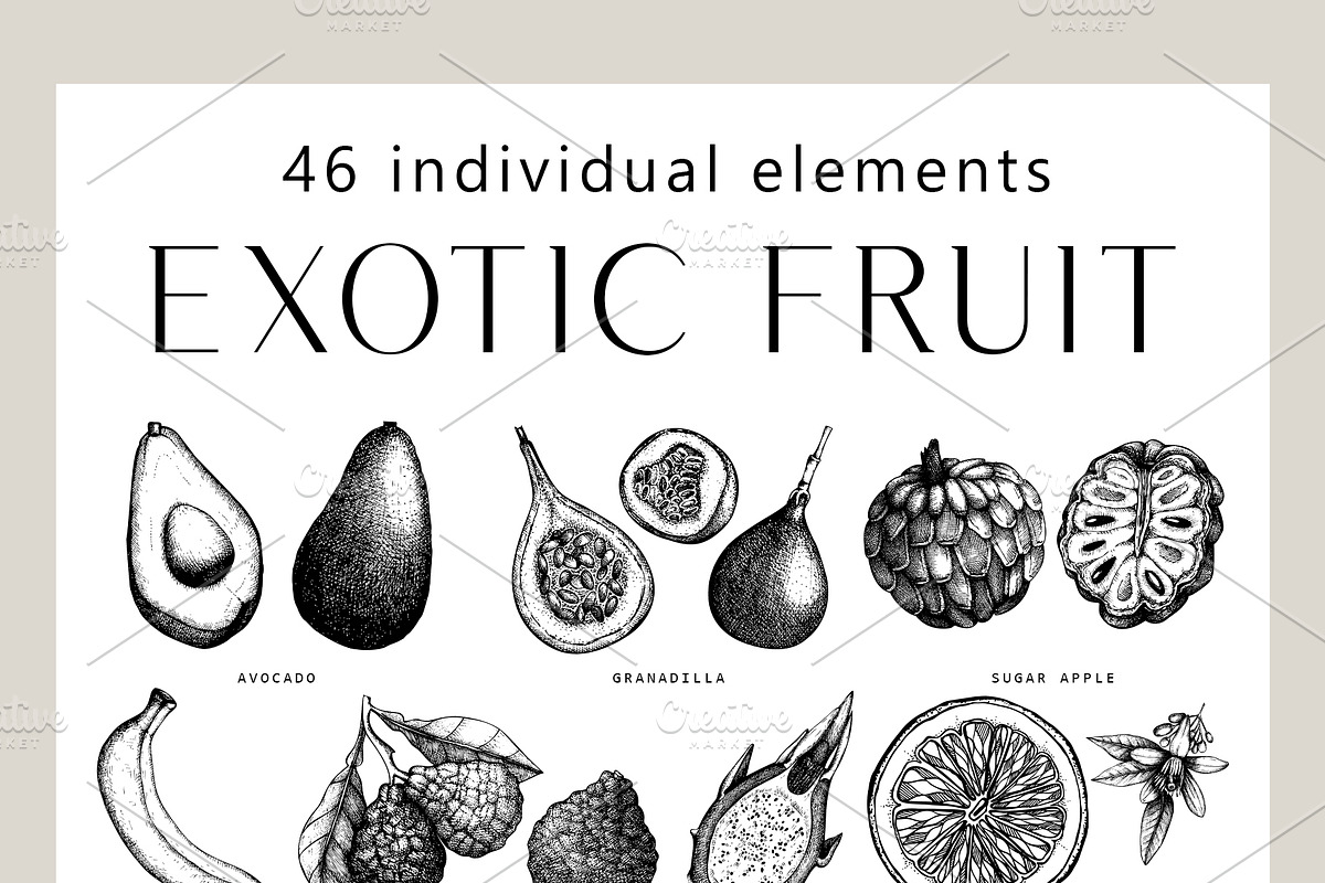 BUNDLE - Fruit & Berries Collection, a Food Illustration by Yevheniia (Photo 7 of 9)