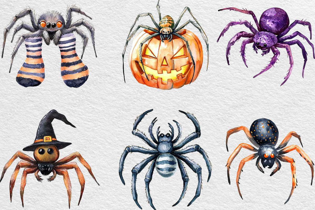 Halloween Clipart Spider Clipart PNG, an Illustration by Black Bird Studio (Photo 3 of 6)