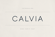 Calvia –  Minimalist Sans Serif Font, a Sans Serif Font by Only Fonts (Thumbnail 1 of 11)