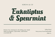Pinehills – An Classical Script Font, a Script Font by Fikryal Studio (Thumbnail 4 of 20)