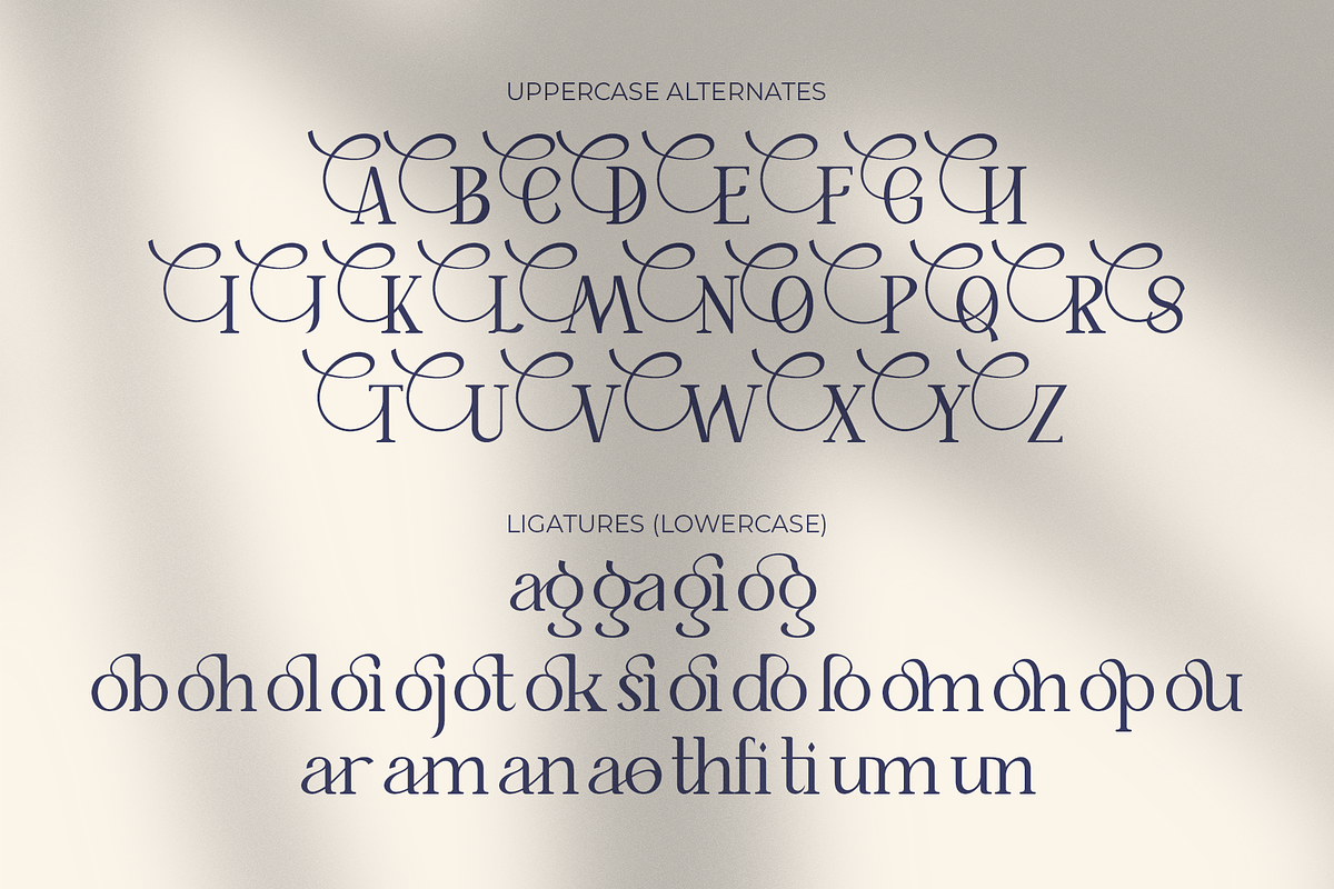 Mollava – A Modern Luxury Logo Font, a Serif Font by MJB Letters (Photo 3 of 11)