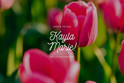 Floral Nature Backgrounds VOL4, a Background Graphic by digital.incubator.yum (Thumbnail 3 of 10)