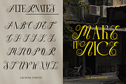 Last Royal - Elegant Serif & Script, a Serif Font by Say Studio (Thumbnail 11 of 13)