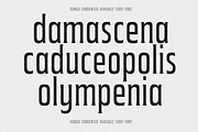 Bungo - Variable Condensed Font, a Font by Typeskets (Thumbnail 2 of 11)
