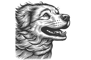 Happy Dog engraving sketch vector, an Animal Illustration by AlexArt
