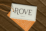 Raveny Modern Elegant Serif, a Serif Font by Vadovastd (Thumbnail 9 of 9)