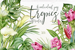 Watercolor tropical arrangements.