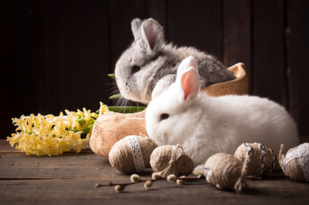 cute easter bunny with handmade deco
