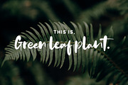 Bounches Font, a Script Font by trustha (Thumbnail 5 of 14)