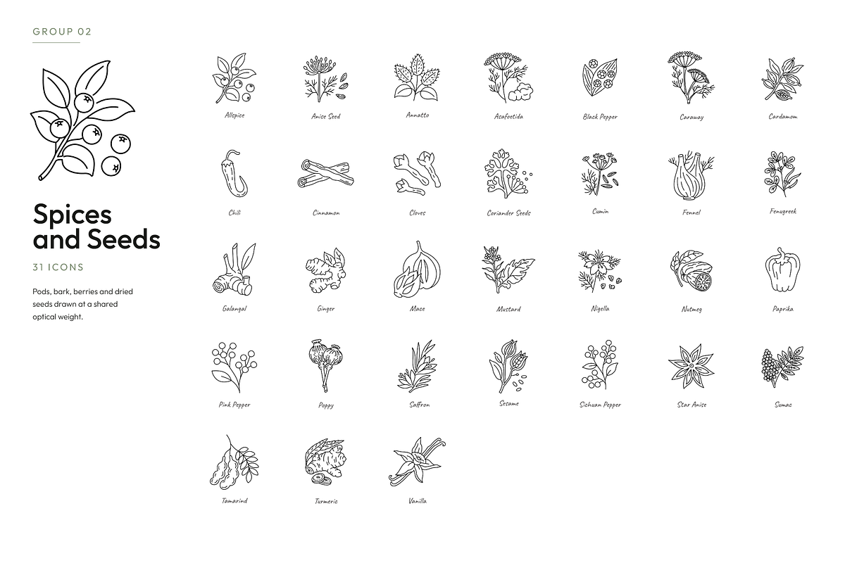180 Botanical Ingredient Line Icons, an Outline Icon by Ilia Design (Photo 11 of 13)