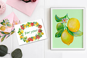 Lemons, Pomegranates elements, frame, an Object Graphic by Alena Lazareva (Thumbnail 7 of 10)