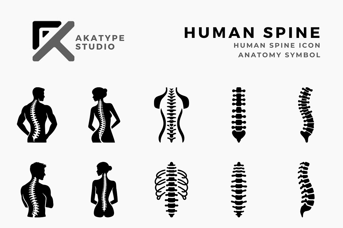 Human Spine Icon Vector, a Solid Icon by Akatype Studio (Photo 1 of 3)