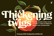 Peach Crush Serif Typeface, a Serif Font by Fenotype (Thumbnail 2 of 16)