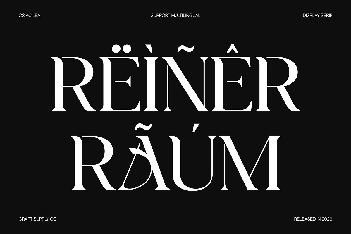 CS Acilea – Modern Serif Font, a Serif Font by Craft Supply Co. (Photo 7 of 8)