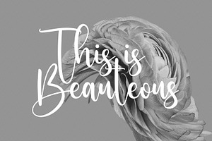 Sallutos Signature Script Font