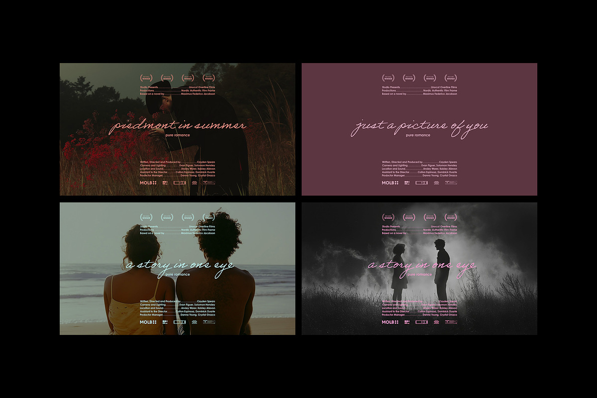 Love Movie Titles Collection, a Templates & Theme by pixelbuddha.net (Photo 8 of 14)