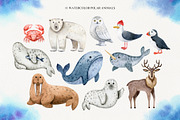 Northern Sea Watercolor Set, an Animal Illustration by Natalia Fedorova (Thumbnail 2 of 16)