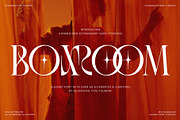 SLTF BOXROOM - Modern Serif Typeface, a Serif Font by SilverStag Type Foundry (Thumbnail 1 of 30)