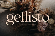 Gellisto Modern Ligature Serif, a Serif Font by Font Kingdom (Thumbnail 1 of 5)