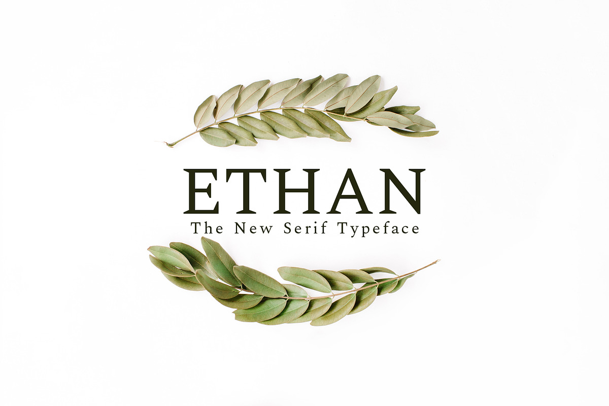 Ethan Serif 8 Font Family Pack