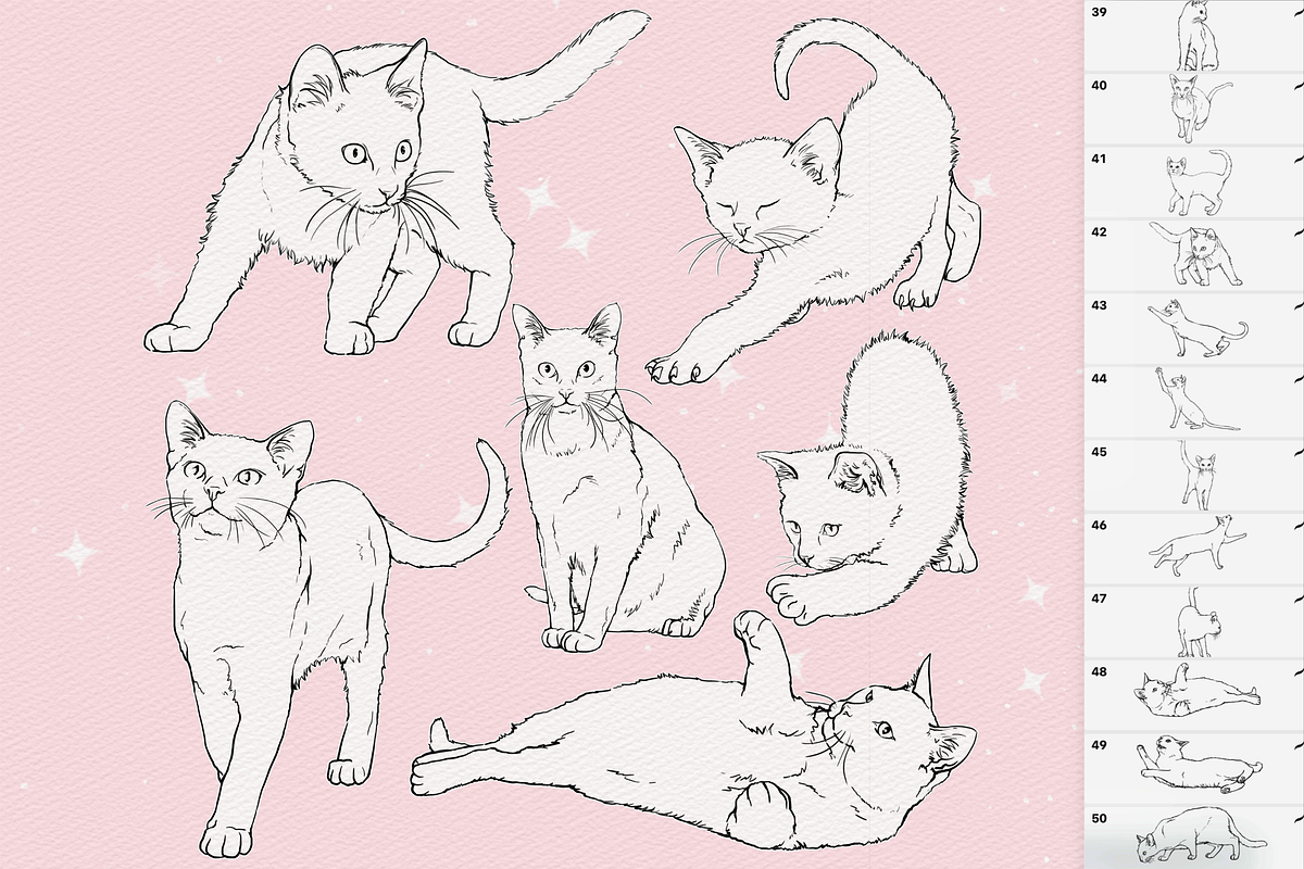 Cats Procreate Photoshop brushes, a Brush Add-On by Revabrush