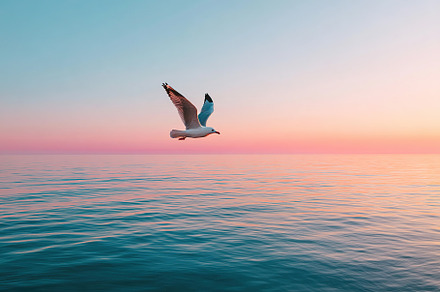 Seagull gliding above calm sea during pastel sunset sky in tranquil coastal atm, an Animal Photo by AlyaAnd