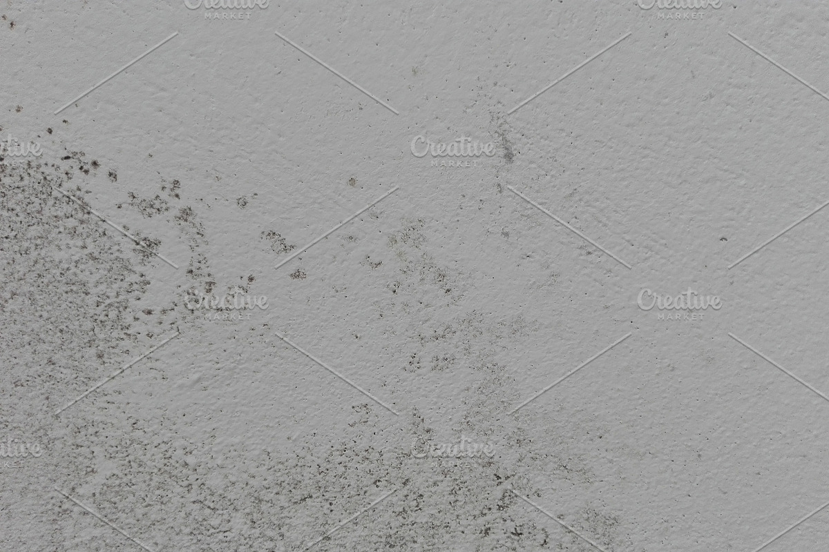 Mold Wall Texture Pack, a Texture Graphic by The_DrX (Photo 7 of 13)