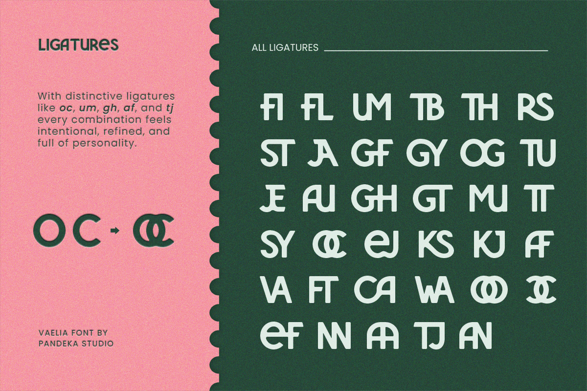 Vaelia - Elegant & Playful Sans, a Sans Serif Font by Pandeka Studio (Photo 8 of 9)