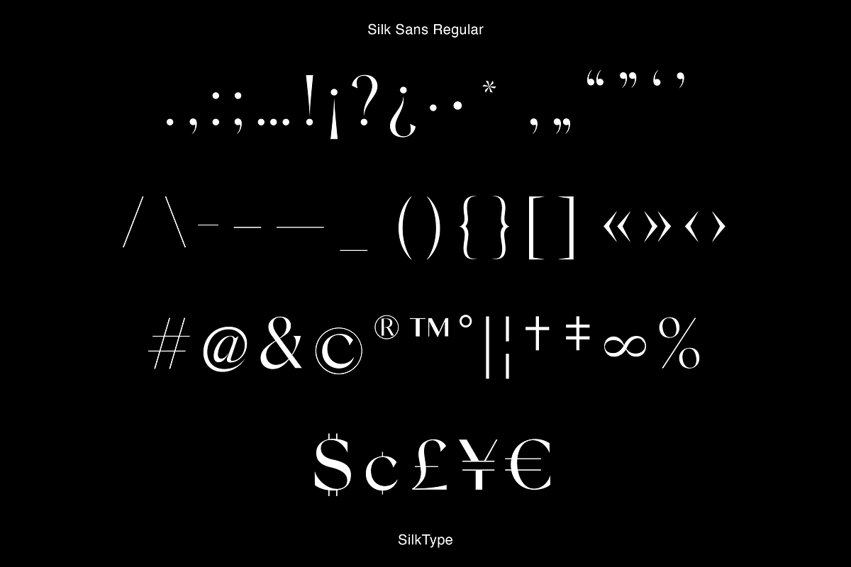 Silk Sans - 6 font family, a Sans Serif Font by Silktype (Photo 9 of 9)