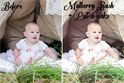 The Newborn Collection Actions, an Action Add-On by MarieMcKennaDesigns (Thumbnail 2 of 8)